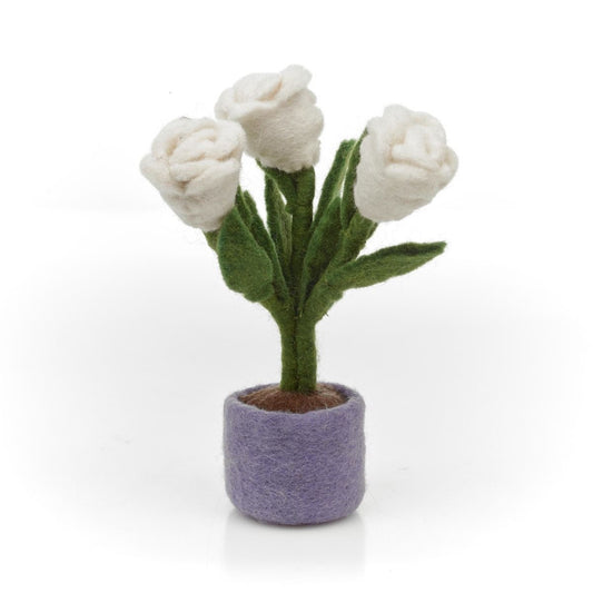 Vilten Witte Tulp