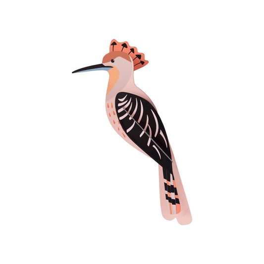Hoopoe (hop)