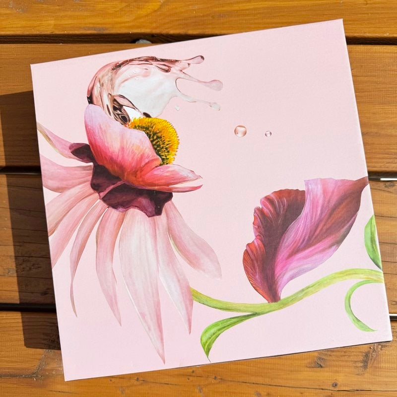 Botanical Wonders - Set van 4 dinerborden