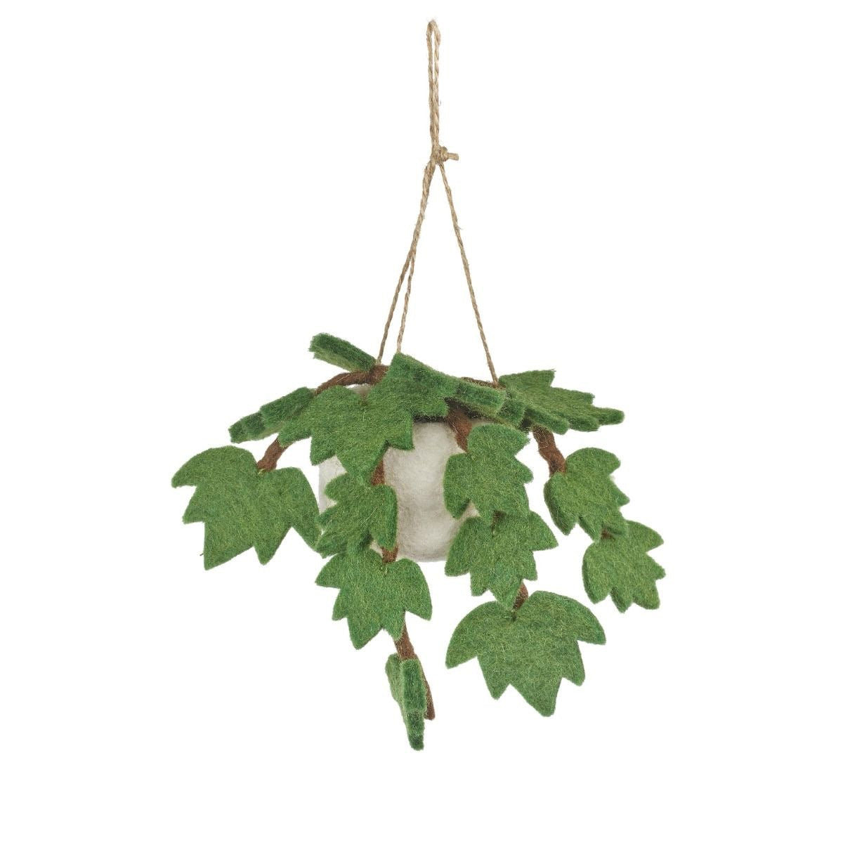 Vilten hangende klimop