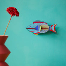 Afbeelding in Gallery-weergave laden, Parrotfish
