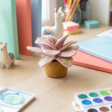 Vilten Candy Leaf Plant