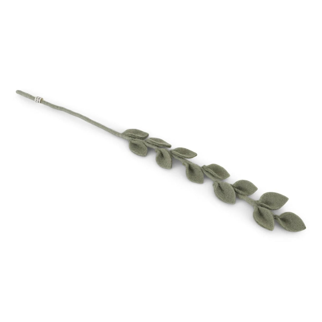 Eucalyptus tak