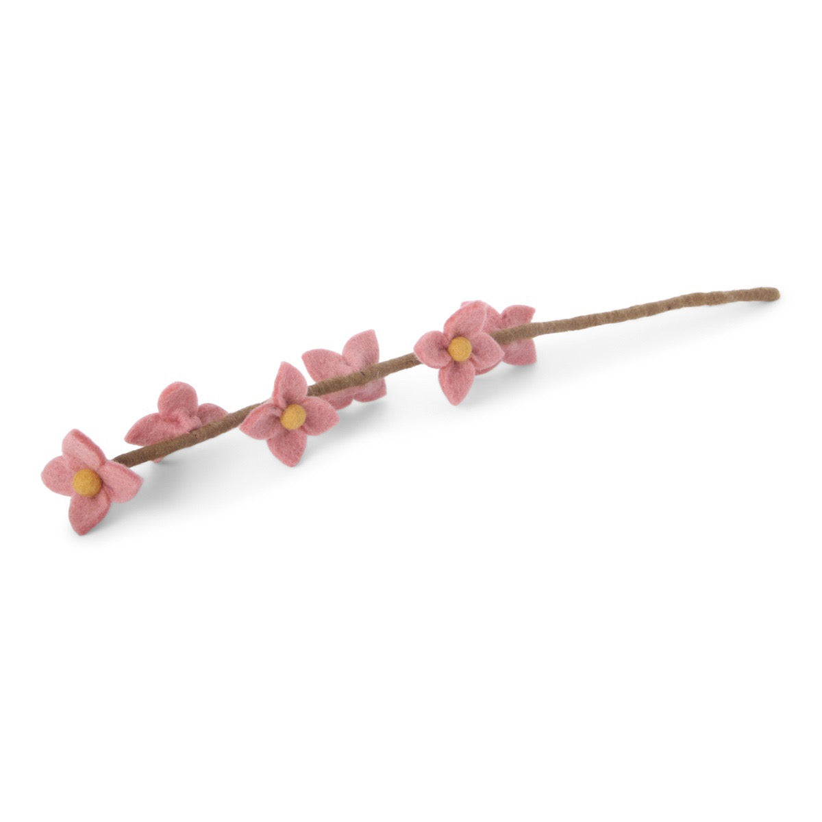 Cherry blossoms on branch
