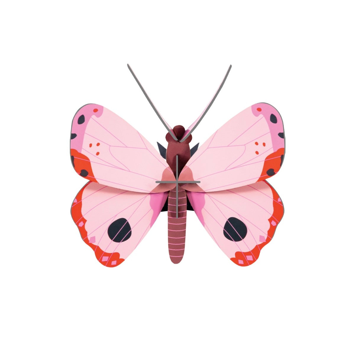 Rosora Butterfly