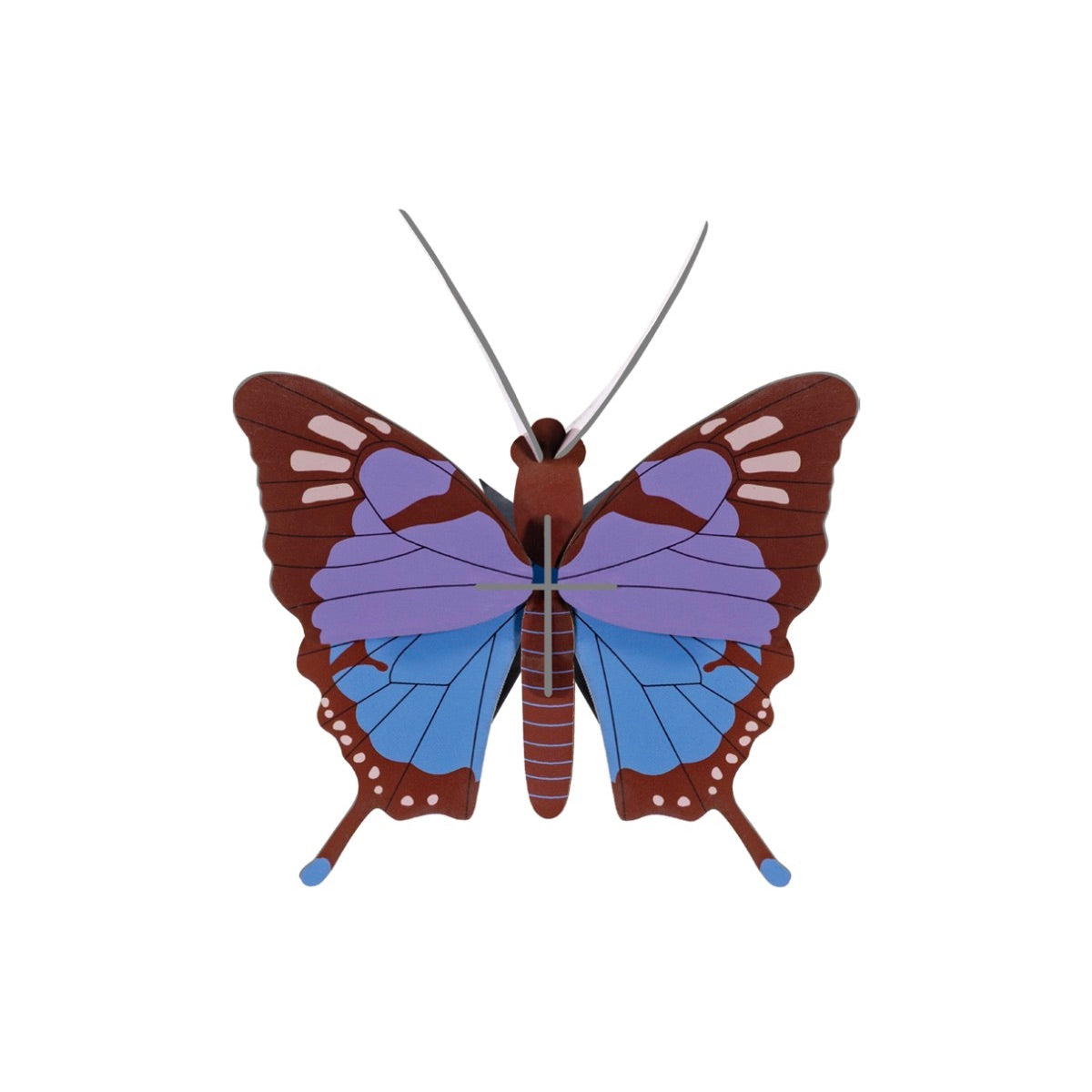 Crysalus Butterfly
