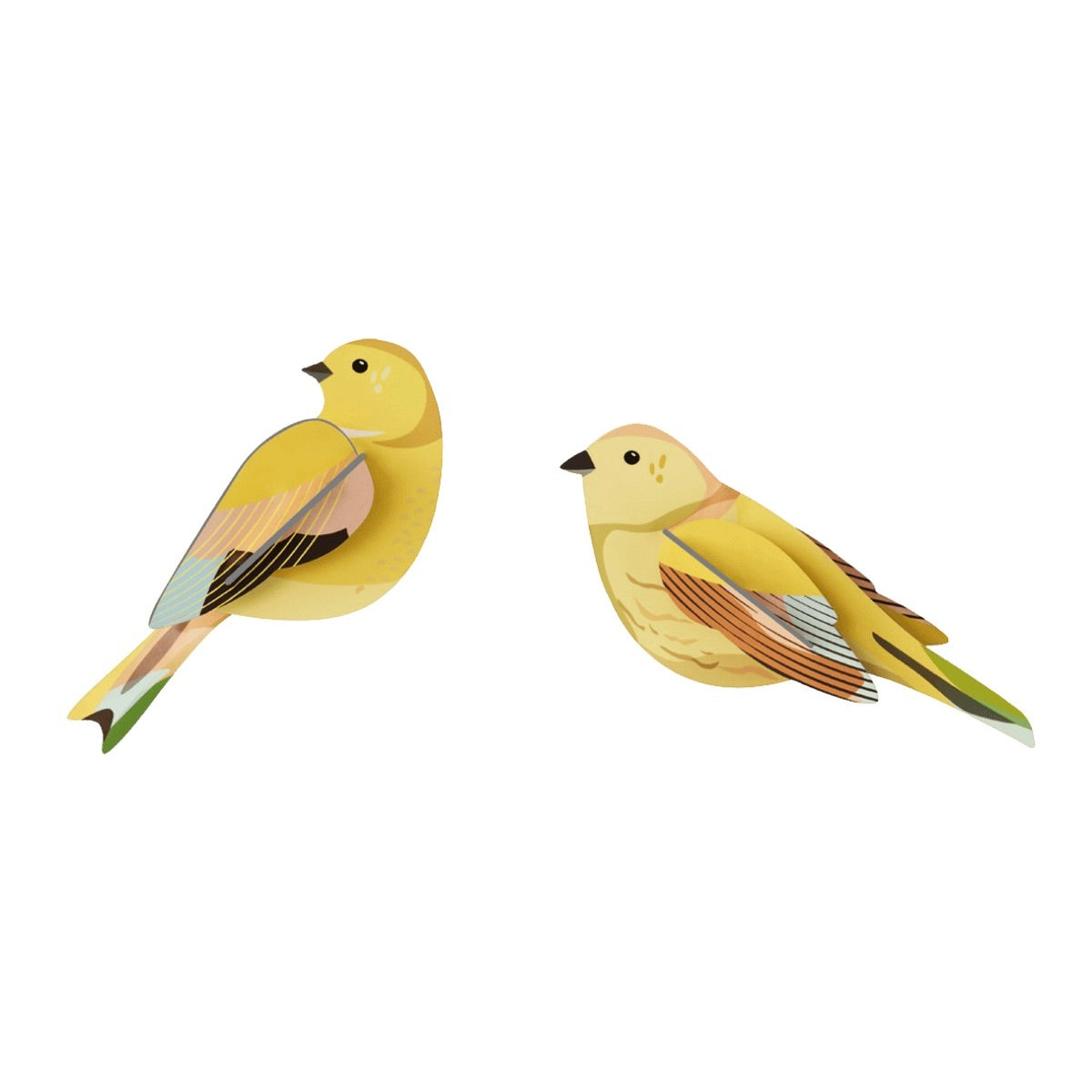 Garden Bird - Citrinella Pair
