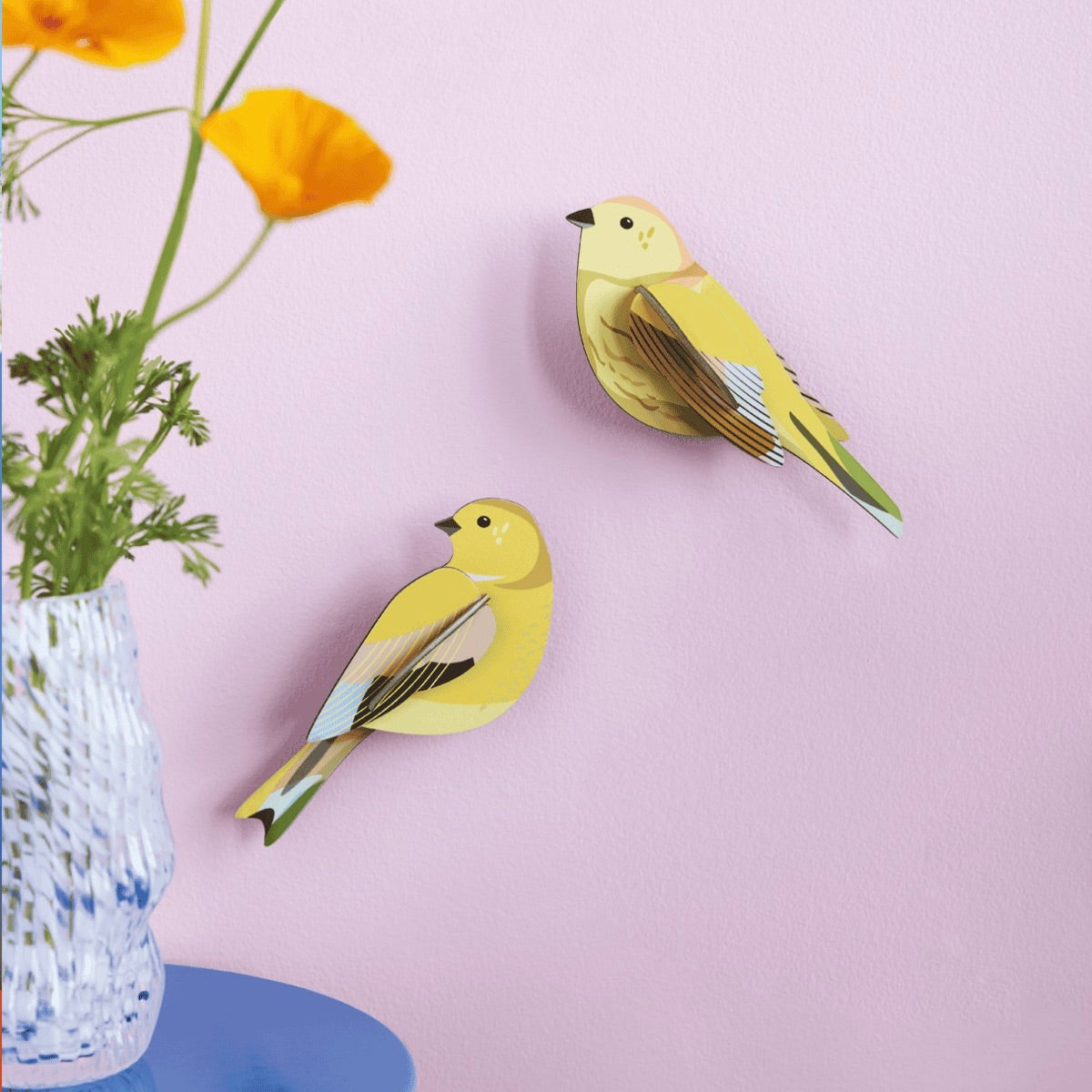 Garden Bird - Citrinella Pair