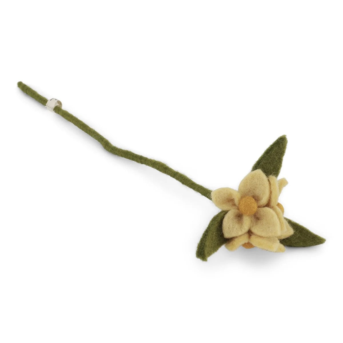 Fleurs de cerisier sur une branche