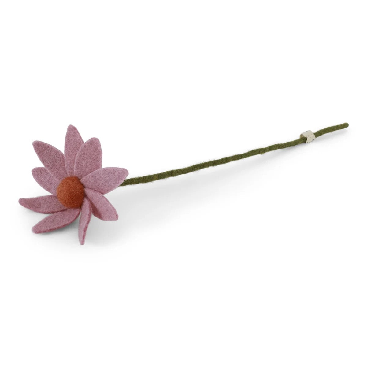 Cherry blossoms on branch