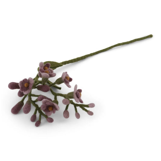 Wisteria (Blauwe Regen)