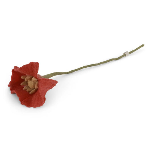 Poppy Flower Coral