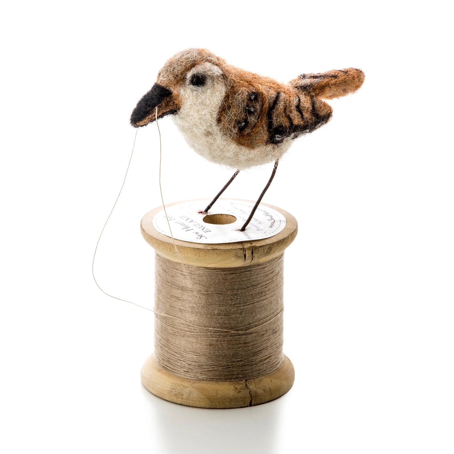 Wren sur bobine de fil