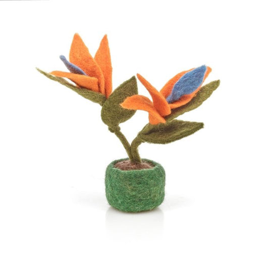 Vilten Bird of paradise