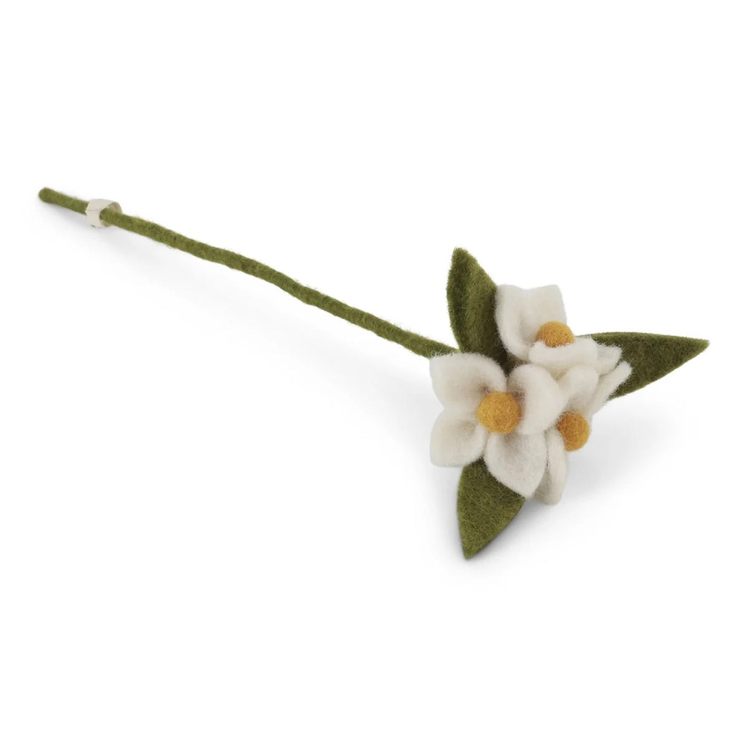 Tak met witte bloemen