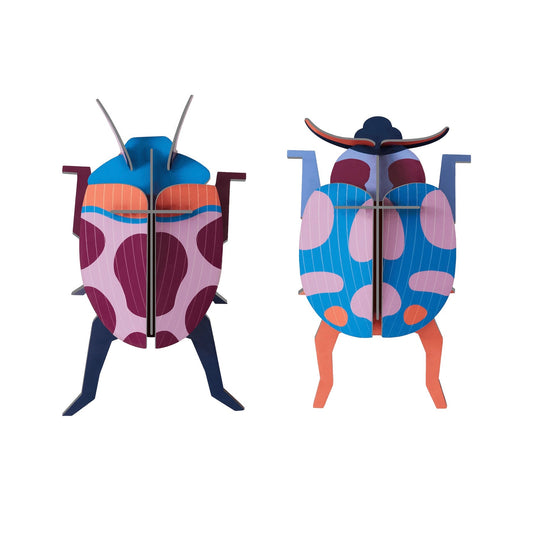 Coccinelle Couple