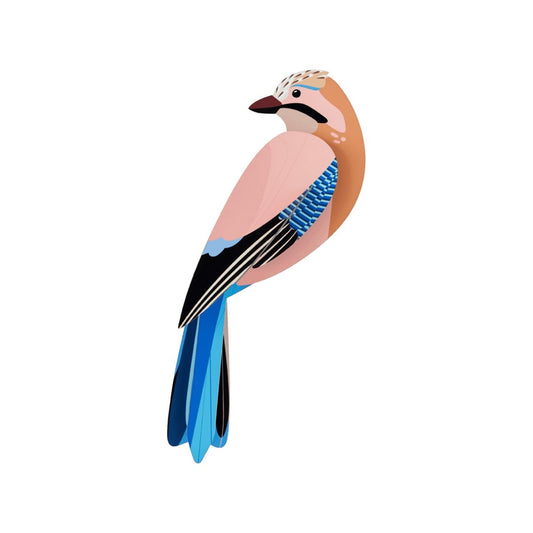 Jay