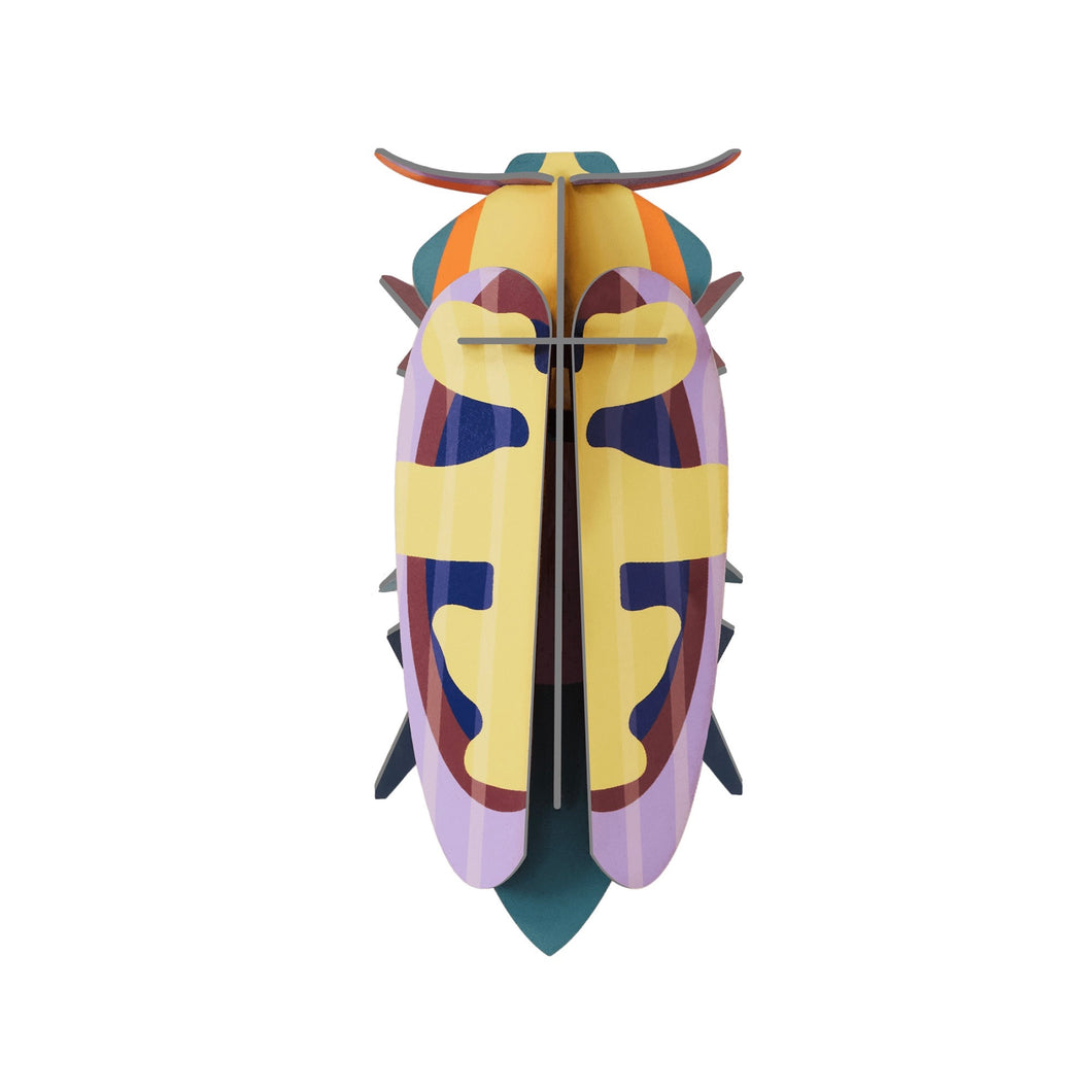Mango Flower Beetle