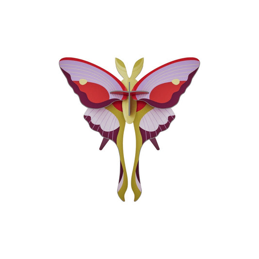 Lilac Comet Butterfly