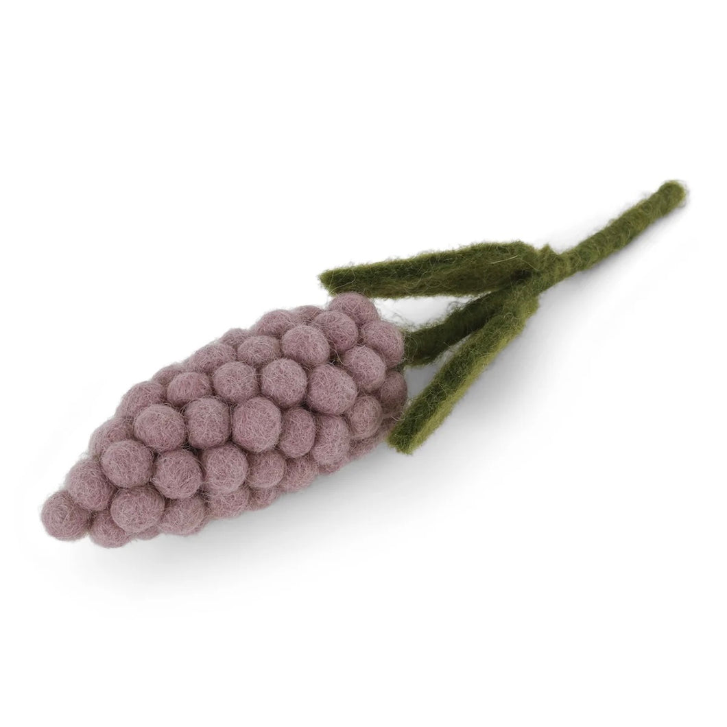 Parel hyacint paars (lavendel)