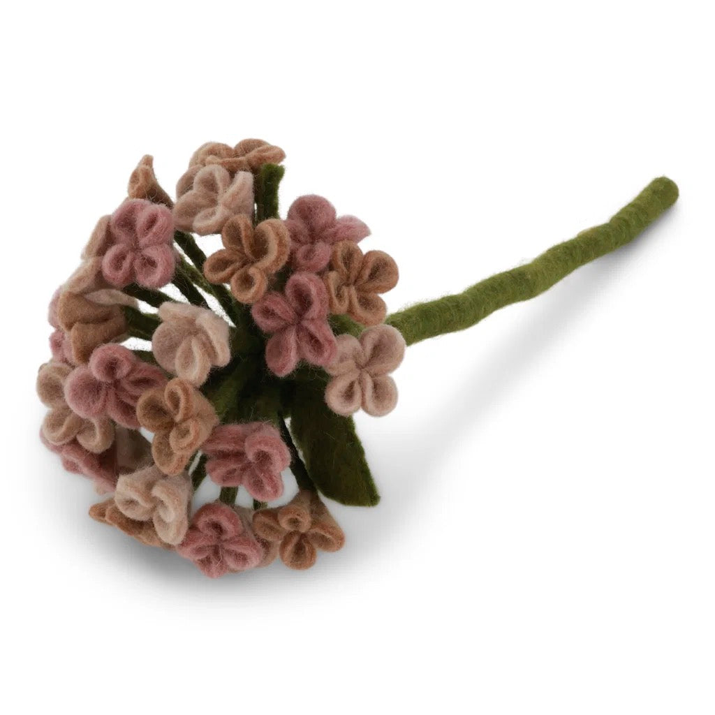 Lange hortensia roze