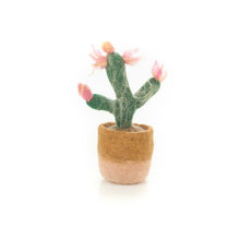 Charger l&#39;image dans la galerie, Plante d&#39;intérieur heureuse - Cactus rose
