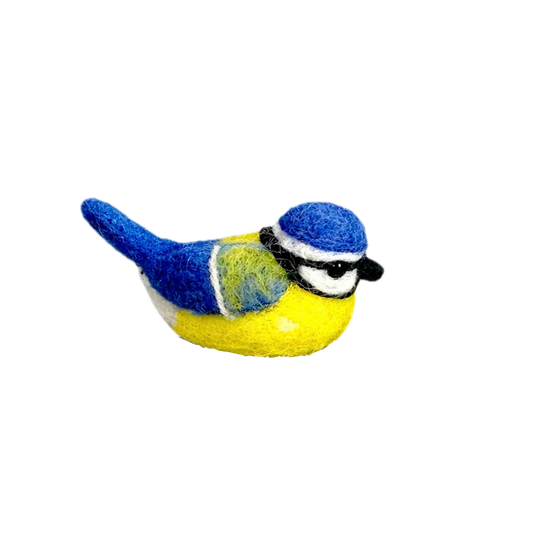 Vilten vogel: pimpelmees