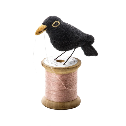 Merle sur bobine de fil