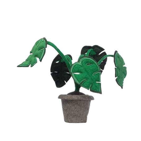 Decoratieplant Monstera