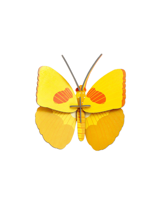 Yellow Butterfly