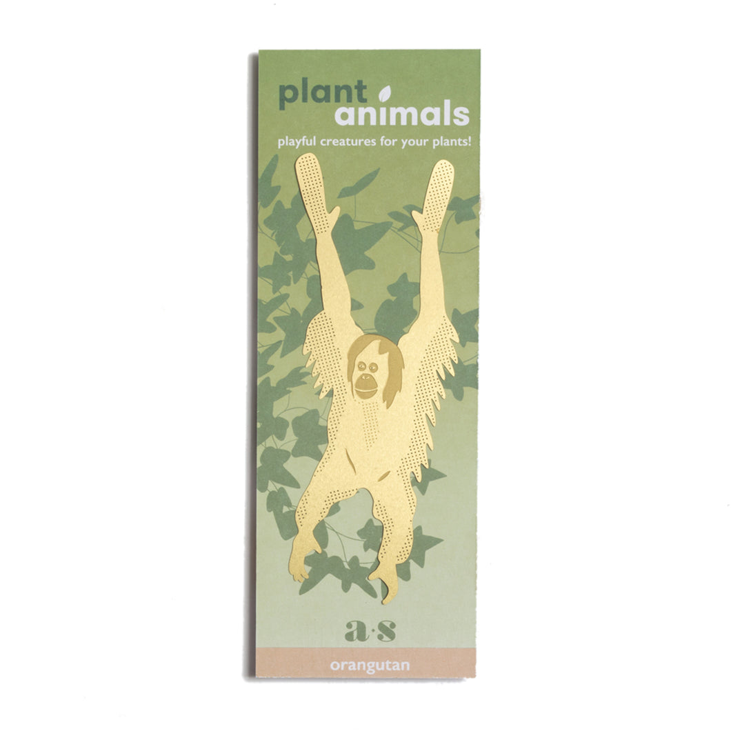 Plant Animal: Orangutan