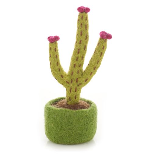 Cactus hérisson en feutre