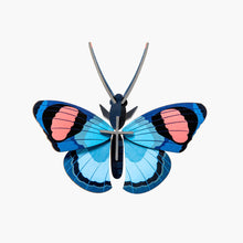 Afbeelding in Gallery-weergave laden, Peacock Butterfly
