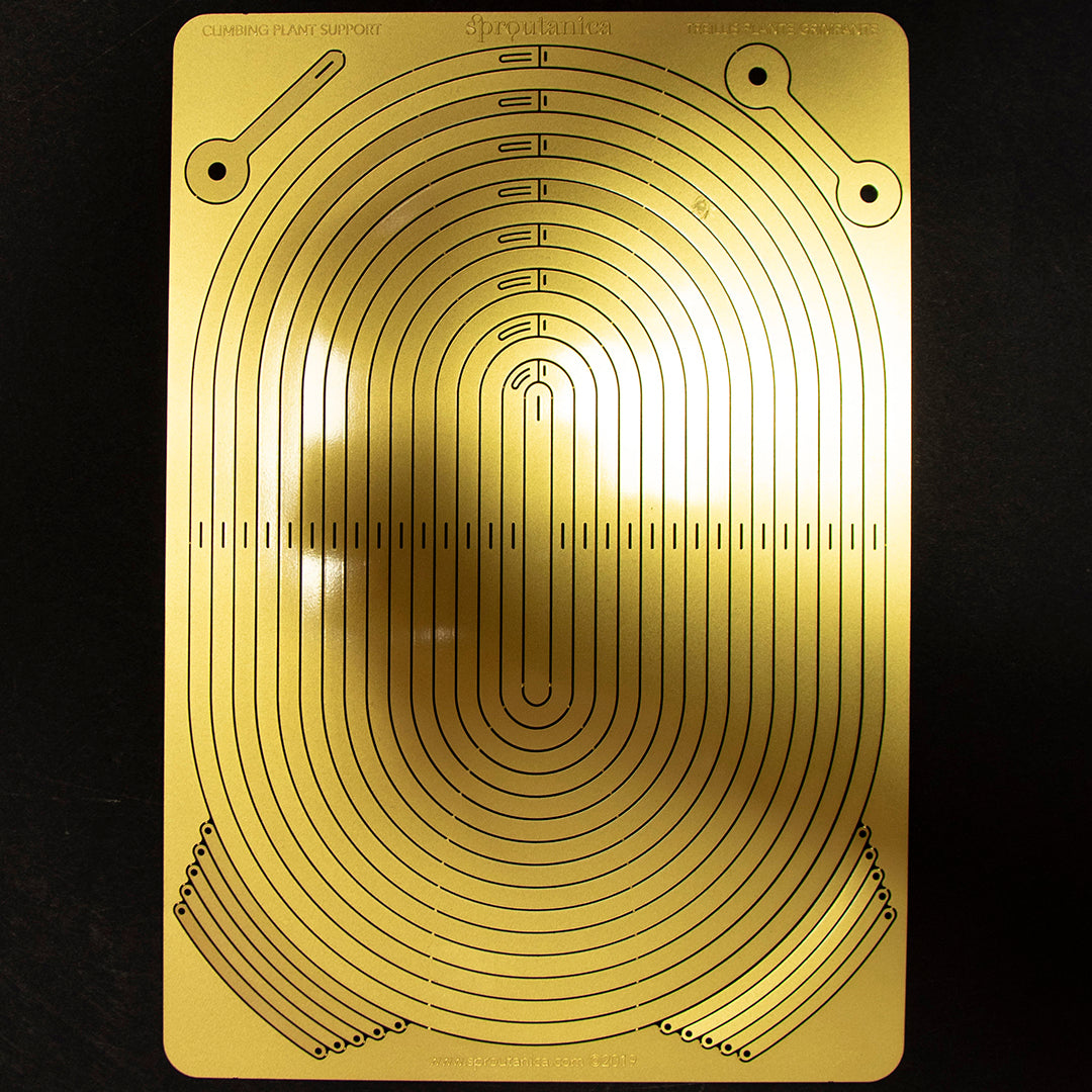 Climbing Plant Support - messing