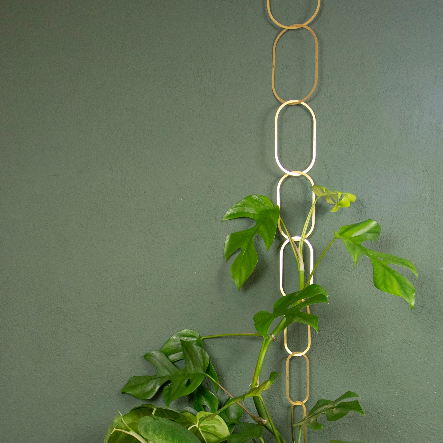 Climbing Plant Support - messing
