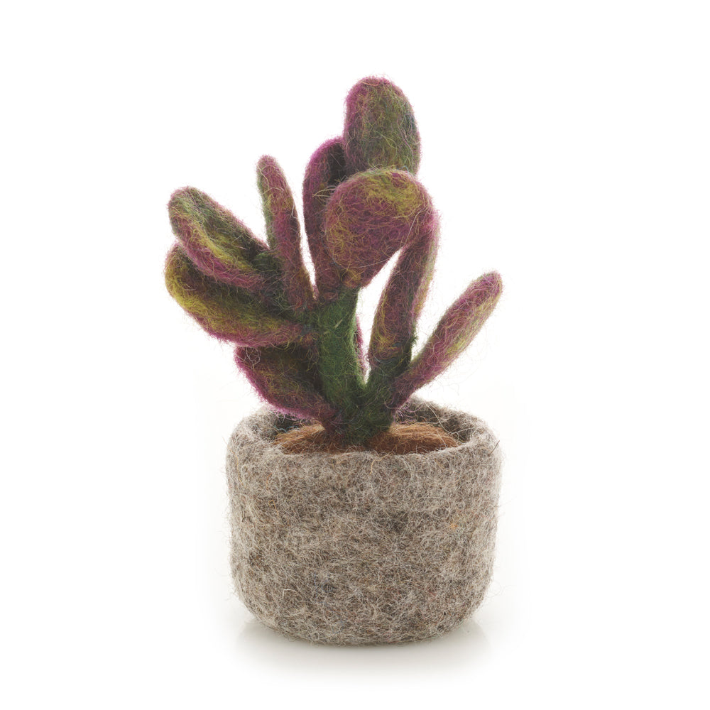 Felted Ficus Elastica