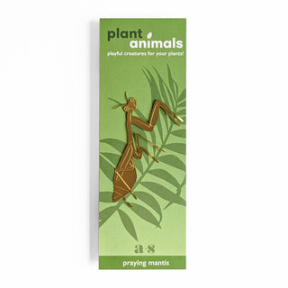 Plant Animal: Praying Mantis