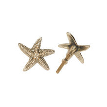 Load image into Gallery viewer, Button Starfish Ruby
