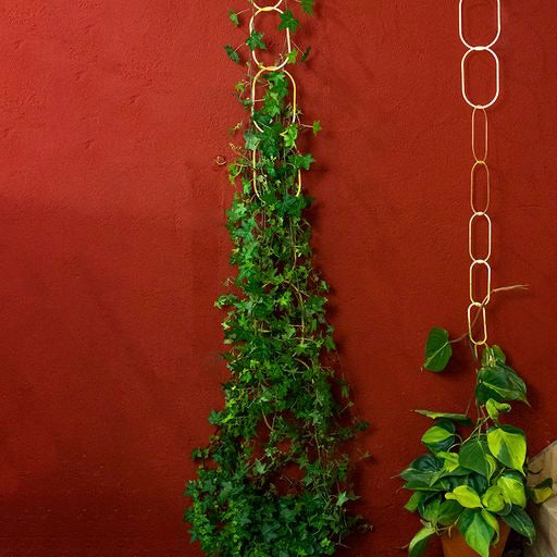 Climbing Plant Support - messing